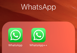 for iphone download WhatsApp (2.2336.7.0)